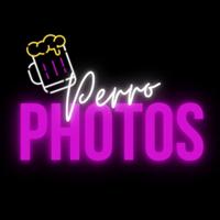 perrophotos1's Twitch profile picture