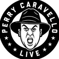 perrycaravellolive's Twitch profile picture