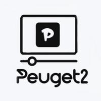 peuget2's Twitch profile picture