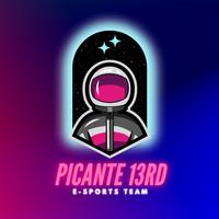 picante13rd's Twitch profile picture
