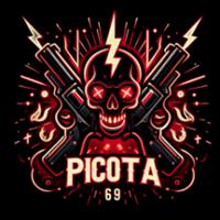 picota69's Twitch profile picture