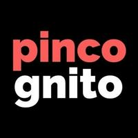 pincognito's Twitch profile picture