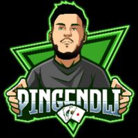 pingendli's Twitch profile picture