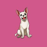 pinkrafa's Twitch profile picture