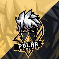 po1ar23's Twitch profile picture