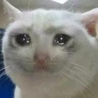 pokeymr's Twitch profile picture