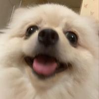 polarbearrrrr_'s Twitch profile picture