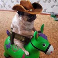 polars57's Twitch profile picture
