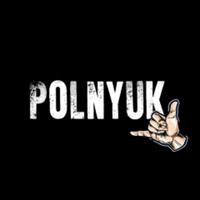 polnyuk's Twitch profile picture