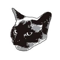 pomespomes's Twitch profile picture