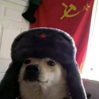 potatoking6666's Twitch profile picture