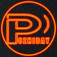 pozhiday_tv's Twitch profile picture