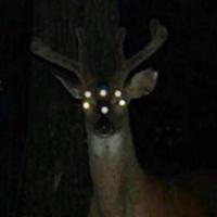 prezoh's Twitch profile picture