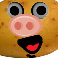 proctato_'s Twitch profile picture