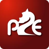 proevolutionechecs's Twitch profile picture