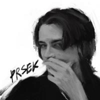 prsek's Twitch profile picture