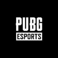 pubg_battlegrounds's Twitch profile picture