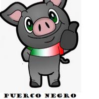 puerco_black's Twitch profile picture