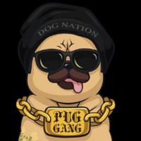 pugmaster20199's Twitch profile picture