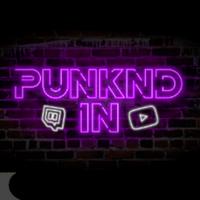 punknd_in's Twitch profile picture