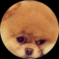 puprs's Twitch profile picture