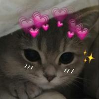 qhugz's Twitch profile picture