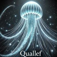 quallef's Twitch profile picture