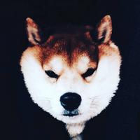 r6ed's Twitch profile picture