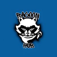 racoon_hub's Twitch profile picture