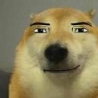 ramncn's Twitch profile picture