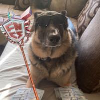 razrsss's Twitch profile picture