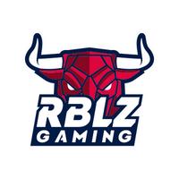 rblzgaming's Twitch profile picture