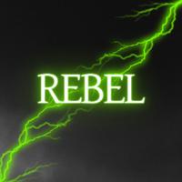 rebelgaming__95's Twitch profile picture