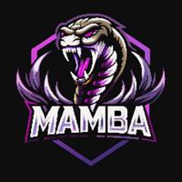 rfonlinemamba's Twitch profile picture