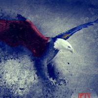 rilind222's Twitch profile picture