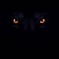 rlegendario's Twitch profile picture
