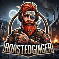 roastedginger420's Twitch profile picture