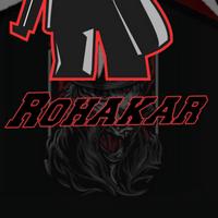 rohakar's Twitch profile picture