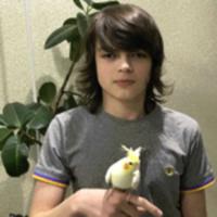 rostlslav_999_33629's Twitch profile picture