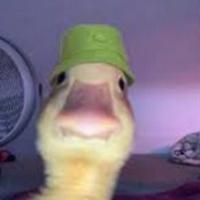 rubslayers's Twitch profile picture