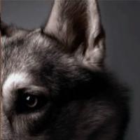 rugarito's Twitch profile picture