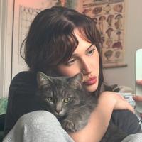 rxsiettv's Twitch profile picture