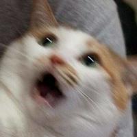 saboree's Twitch profile picture