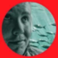 sailboat's Twitch profile picture