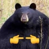 schwannsi's Twitch profile picture