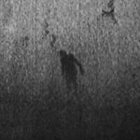 screamshadow86's Twitch profile picture