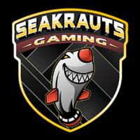seakrauts's Twitch profile picture