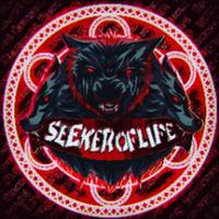 seekeroflife's Twitch profile picture