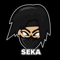 sekape's Twitch profile picture