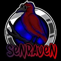 senraven's Twitch profile picture